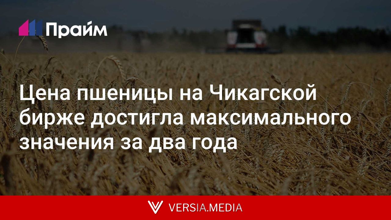 Цена пшеницы на Чикагской бирже достигла максимального значения за два года
