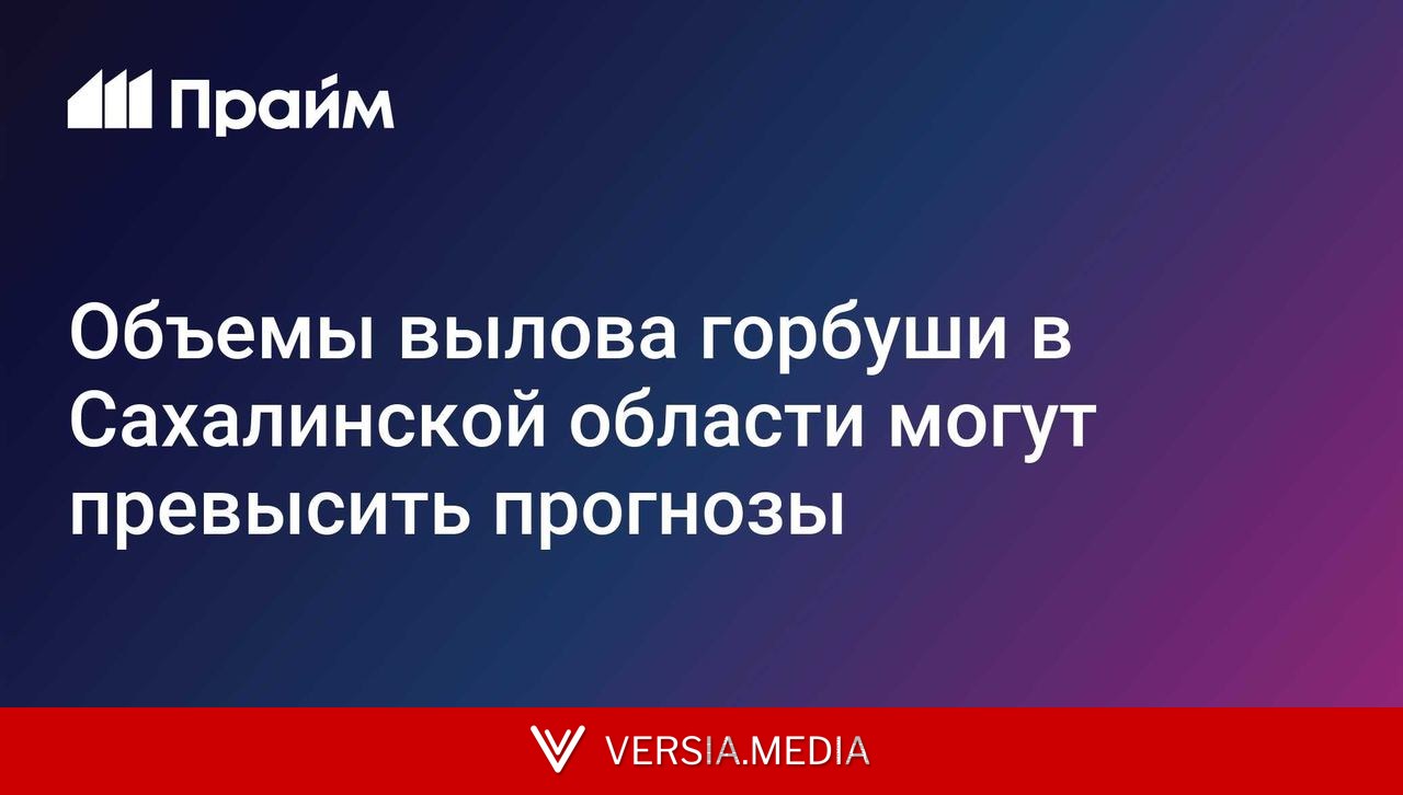 Объемы вылова горбуши в Сахалинской области могут превысить прогнозы