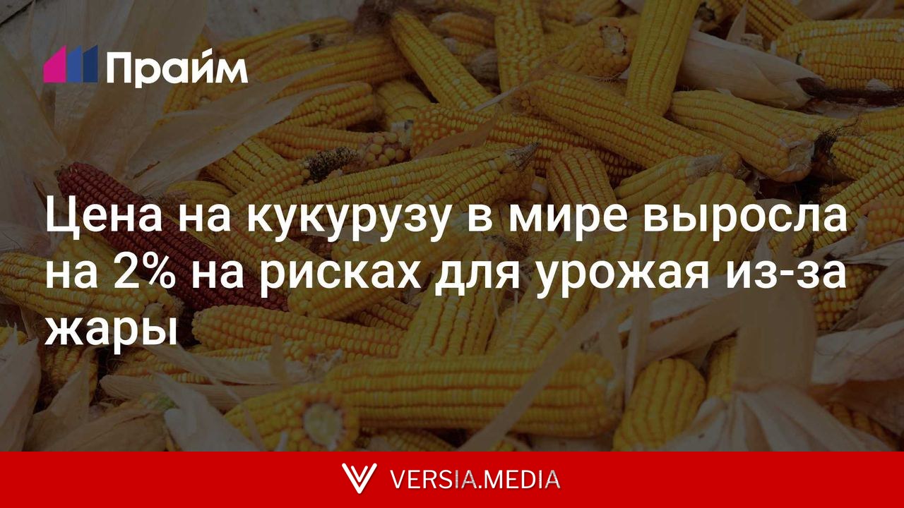 Цена на кукурузу в мире выросла на 2% на рисках для урожая из-за жары