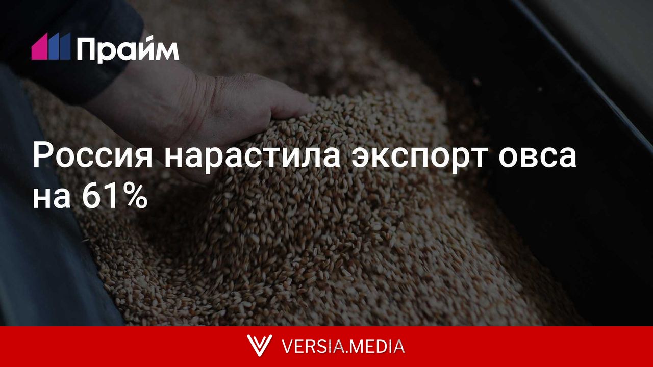 Россия нарастила экспорт овса на 61%