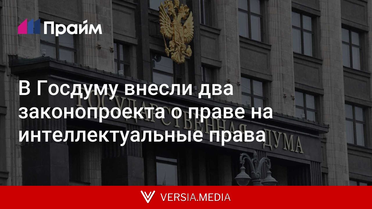 В Госдуму внесли два законопроекта о праве на интеллектуальные права