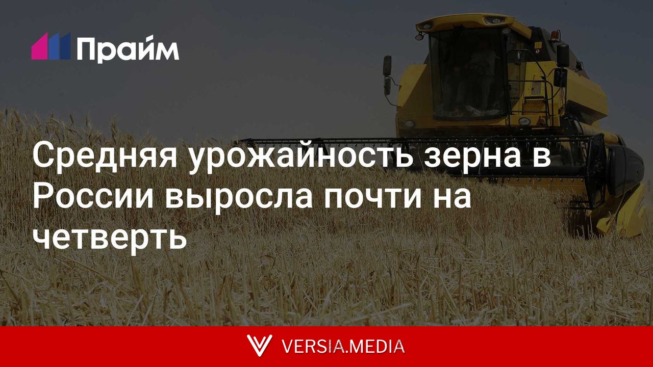 Средняя урожайность зерна в России выросла почти на четверть