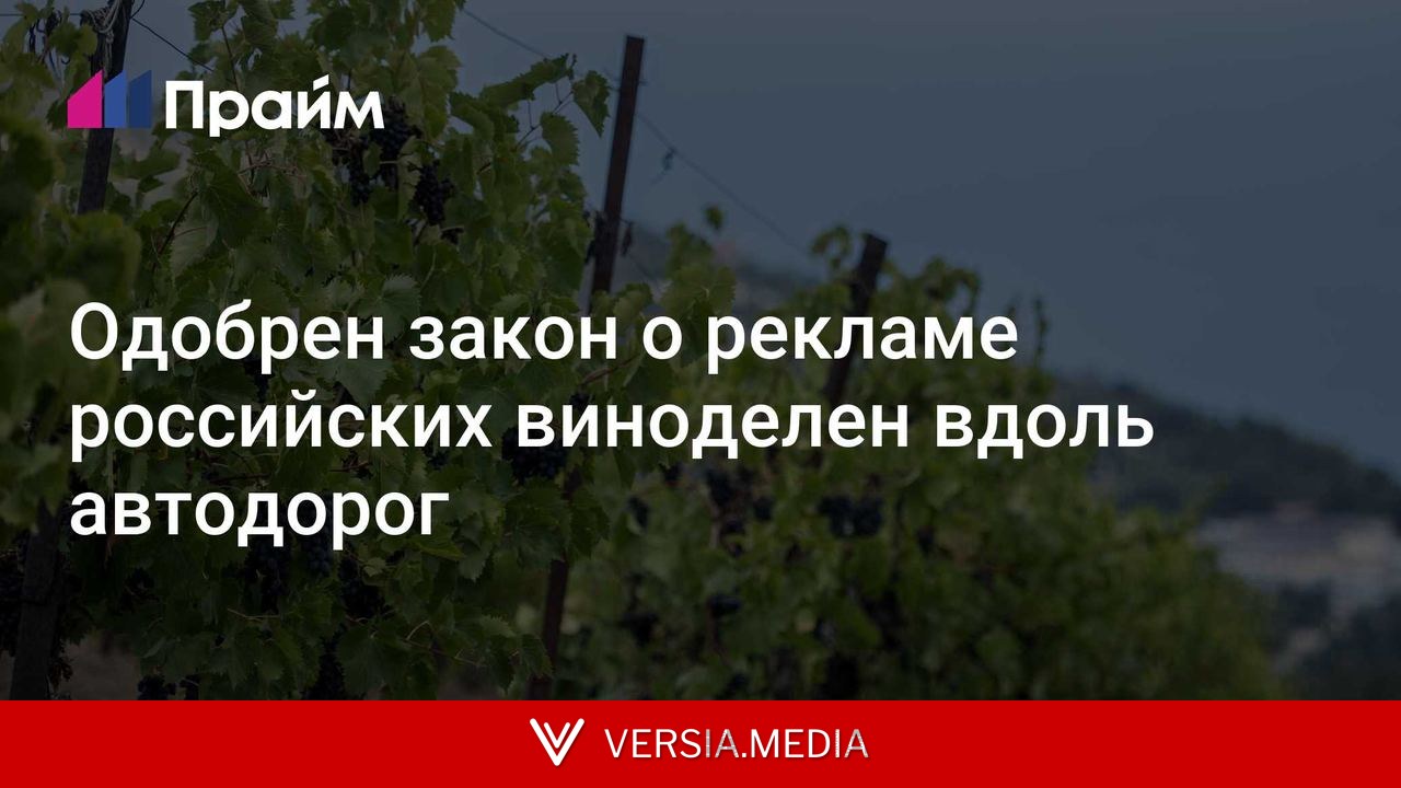 Одобрен закон о рекламе российских виноделен вдоль автодорог
