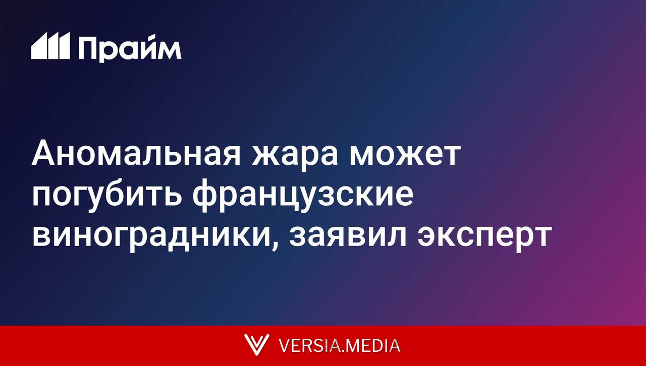 Аномальная жара может погубить французские виноградники, заявил эксперт