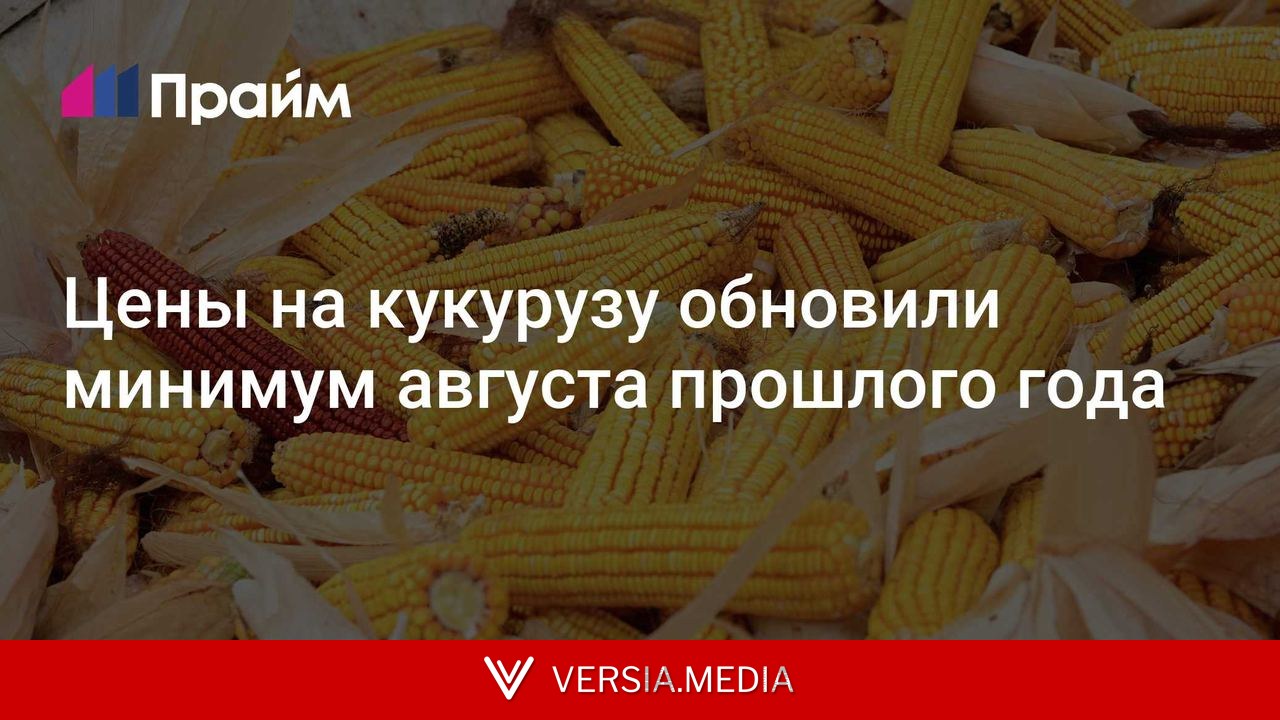 Цены на кукурузу обновили минимум августа прошлого года