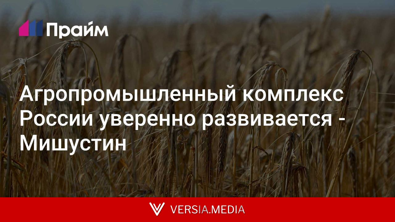 Агропромышленный комплекс России уверенно развивается - Мишустин
