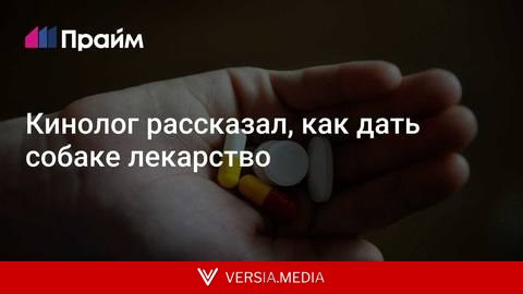 Кинолог рассказал, как дать собаке лекарство