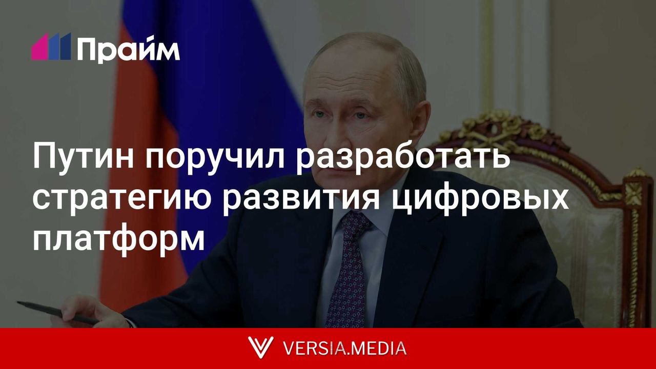 Путин поручил разработать стратегию развития цифровых платформ