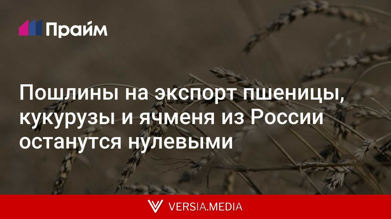 Пошлины на экспорт пшеницы, кукурузы и ячменя из России останутся нулевыми